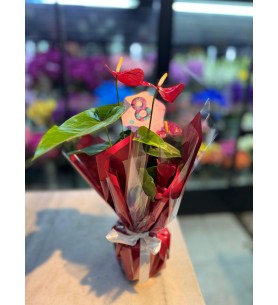 Red Anthurium Çiçeği